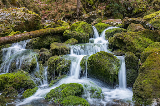 Wasserloch - Visual