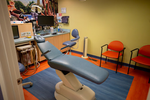 Wild About Smiles! Pediatric Dentistry Logo