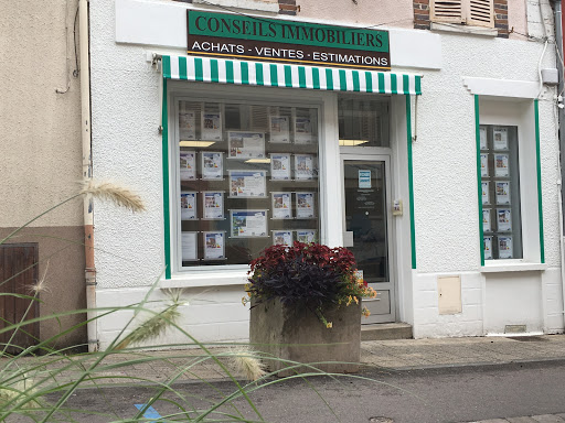 Conseils Immobiliers - Thumbnail