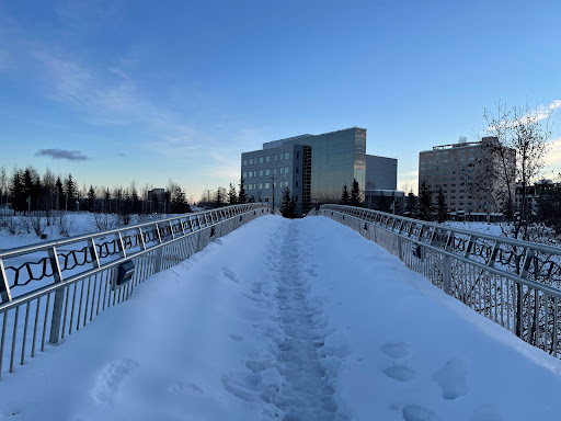 Chena River Viewpoint - Visual