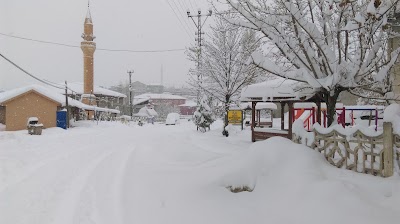 Photos of Paşa Bilgisayar