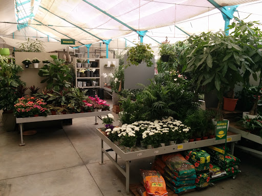 Casla Gardening - Thumbnail