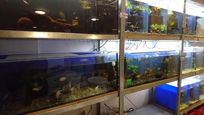 PHU Tukan Anna Bochenek Pet Store, Author: Anna Brańska