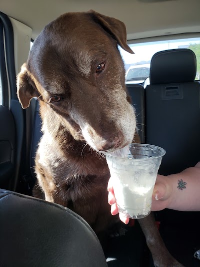 Tooele Veterinary Clinic