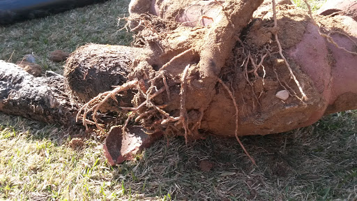 Plumbing Center Bonded Sewer Contractor - Thumbnail