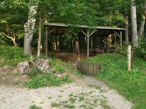 Blankenheim Forest - Thumbnail
