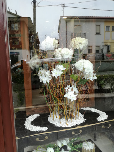 Florevent srls - Visual