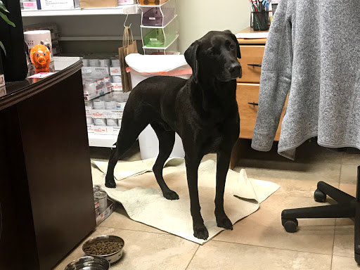 Family Pet Clinic