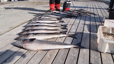 Photos of Sm&oslash;la og Betten Rorbuer