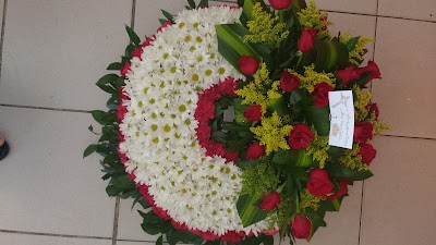Photos of floristeria and distributor ABC