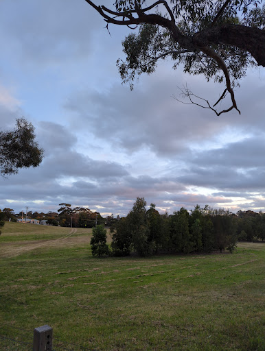 Pacey’s Park Logo