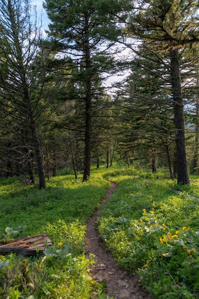 Livingston Peak Trailhead