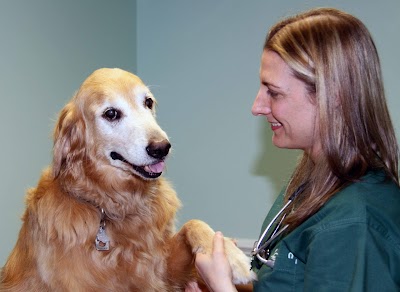 Park Animal Hospital