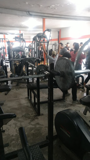 Perros Gym - Thumbnail