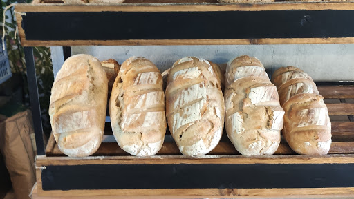 Boske - Bakery - Visual