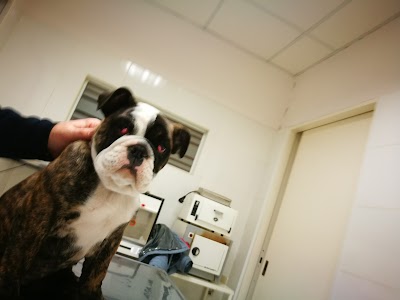 Photos of Clinica Veterinaria Dr. Marcelo Herrera