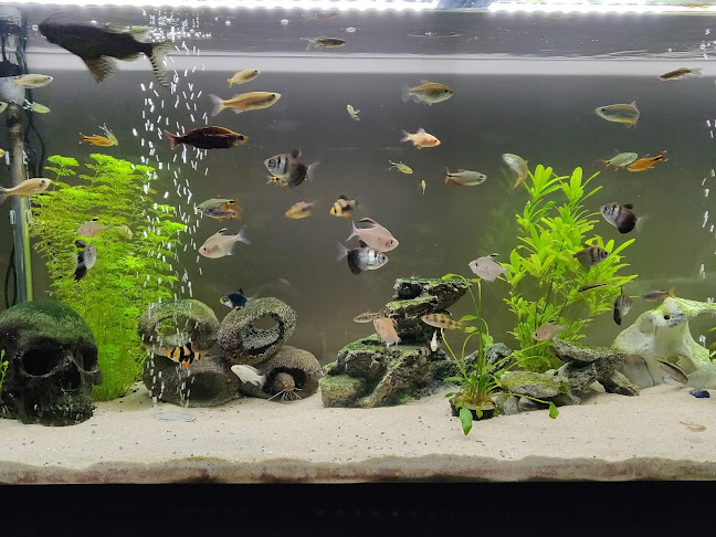 Happy Pets & Aquatics Open Times
