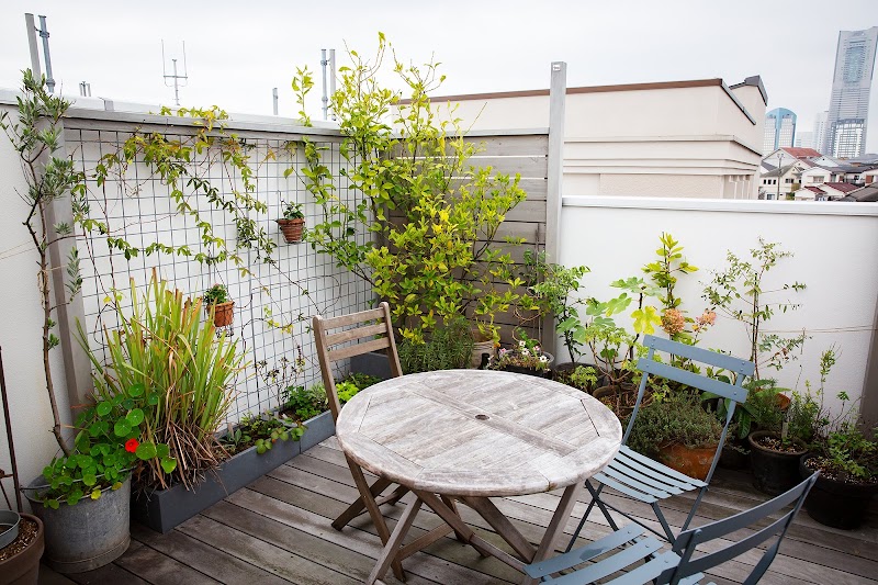 Seeding (シーディング 自由が丘)