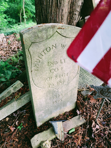 Raccoon Cemetery - Thumbnail