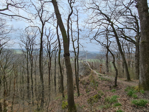 Hohe Ley - Thumbnail
