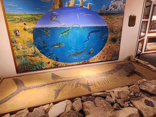 Fick Fossil & History Museum - Thumbnail