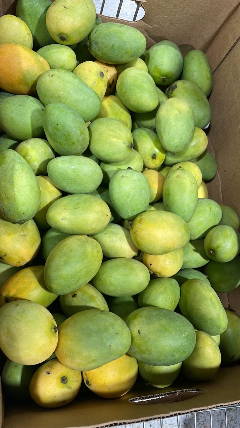 Mr Khan's Authentic Jamaican Food Store photo 3
