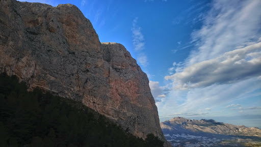 León Durmiente de Montaña - Thumbnail