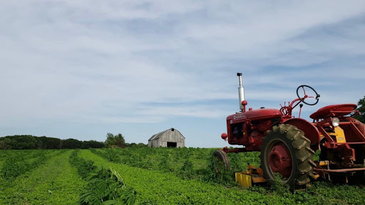 PureLee Farms - Thumbnail