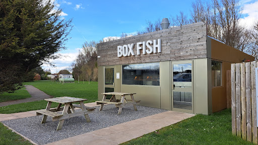 Box Fish - Visual