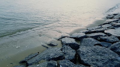 Photos of 비인해수욕장