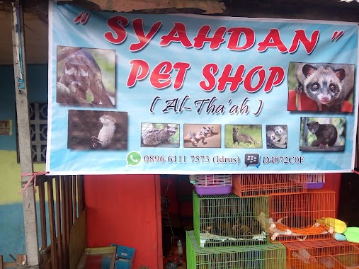 Syahdan Petshop, Author: syahdan pet shop