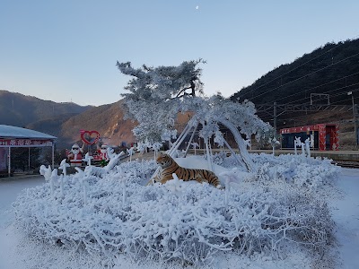 Photos of 분천역