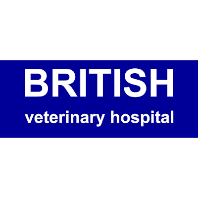 Photos of BRITISH veterinary hospital