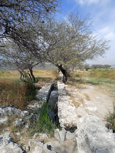 Acequia Fuentes de Apatzeo - Vestigio arqueológico - Thumbnail