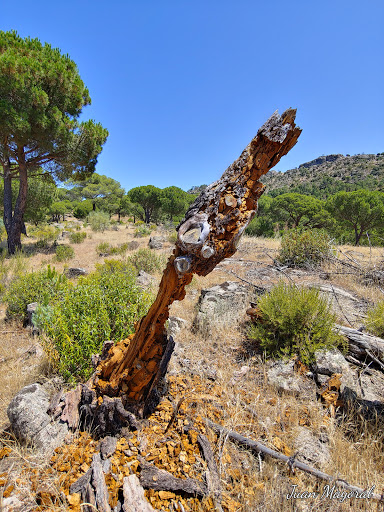 Ruta Las Cabreras. Hoyo de Pinares.