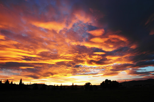 Gold West Realty - Thumbnail