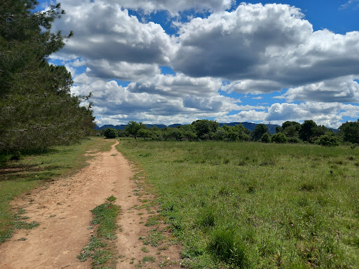 Plateau de la Crau Gallery - France