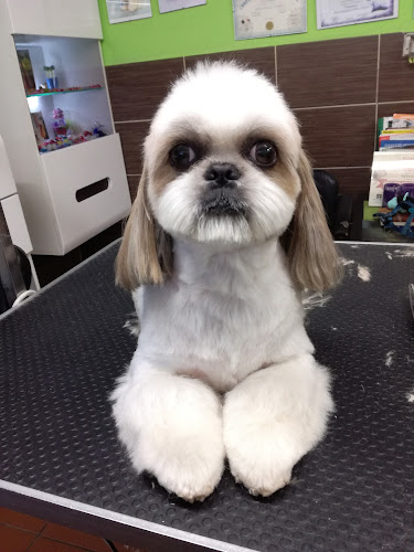 Numer telefony do Grooming