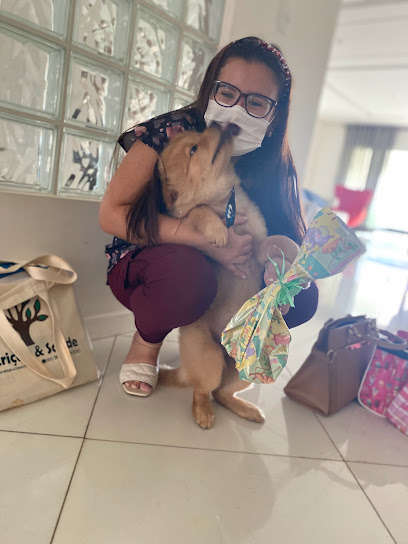 Home Vet Santarém Atendimento Veterinário Domiciliar