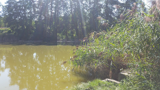 Eichelsee Mainbernheim - Thumbnail