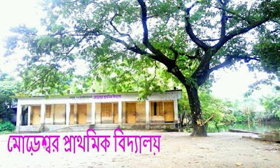 Photos of UNO Nangalkot Upazila