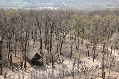 Photos of Budakeszi Wildlife Park