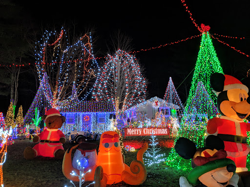 Amarante's Winter Wonderland - Thumbnail
