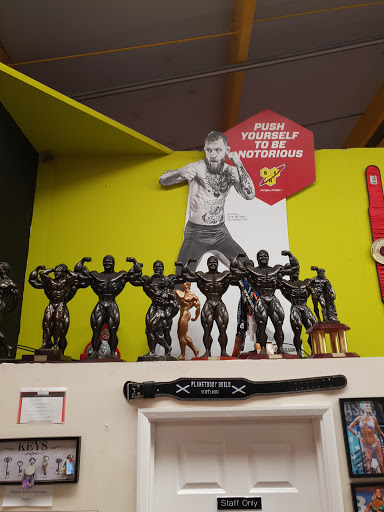 Chems Gym 24 hr gym - Thumbnail