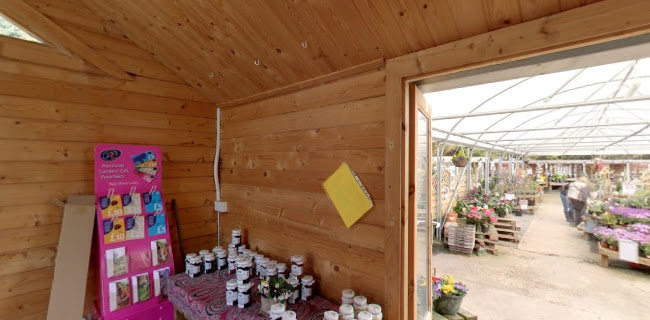 Comments and reviews of Elmwood Nursery & Garden Centre