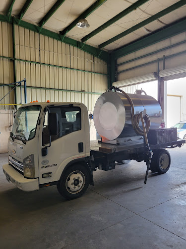 Essential Doodies - Photo