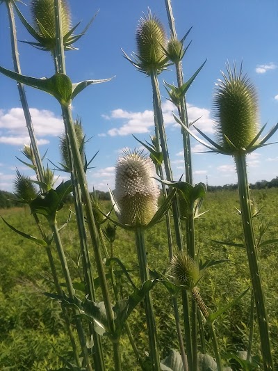 Riverside Natural Area