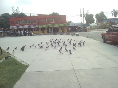 Photos of Parque La Lima