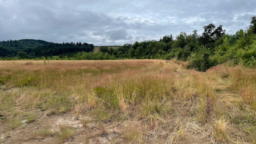 Penstemon Prairie (restoration site)