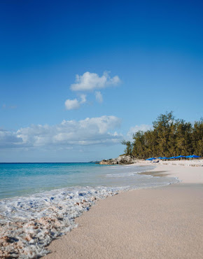 Rosewood Bermuda by null